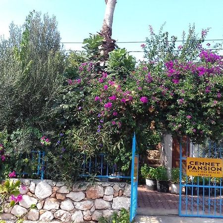 Cennet Pansiyon 호텔 Kaleucagız 외부 사진