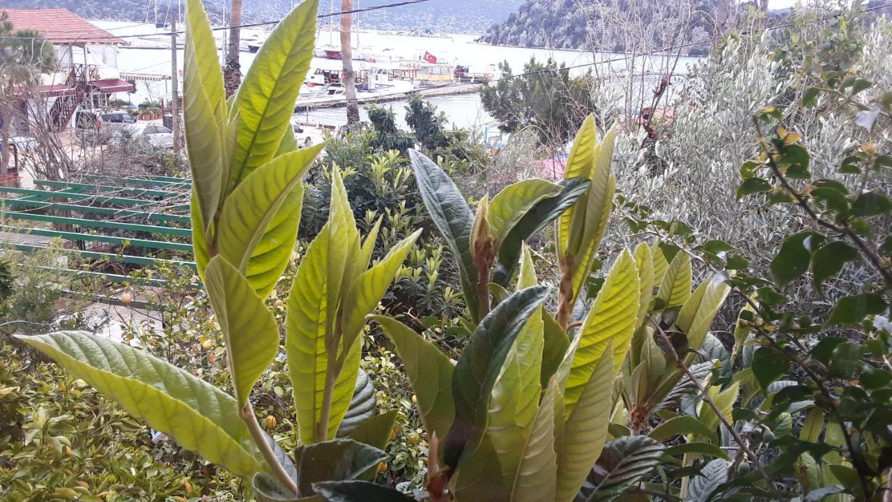 Cennet Pansiyon 호텔 Kaleucagız 외부 사진